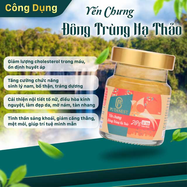 Hộp 6 Hũ Yến Chưng Cao Cấp Đông Trùng Hạ Thảo 28%